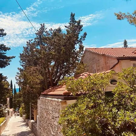 Apartment Villa Amea *