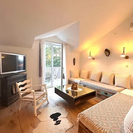 Apartment Villa Amea