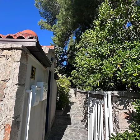 Amea * Μπολ